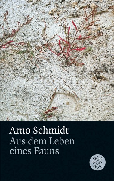Cover von Aus dem Leben eines Fauns