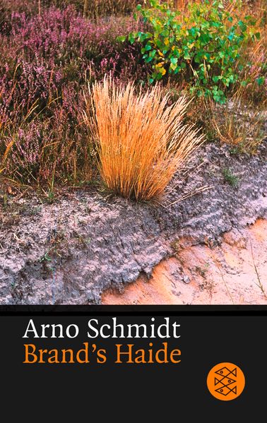 Cover von Brand’s Haide