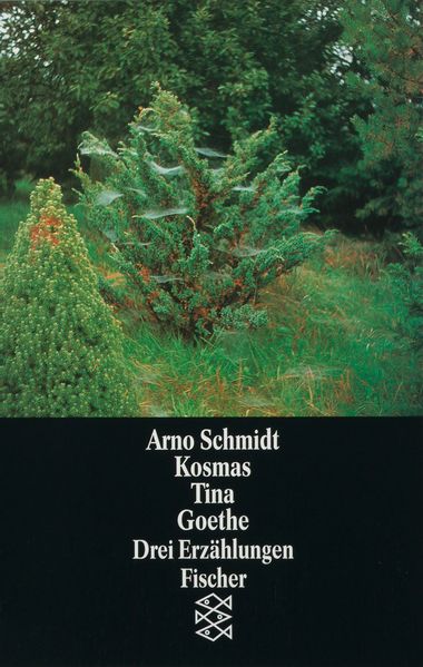 Cover von Kosmas Tina Goethe