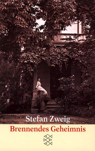 Cover von Brennendes Geheimnis