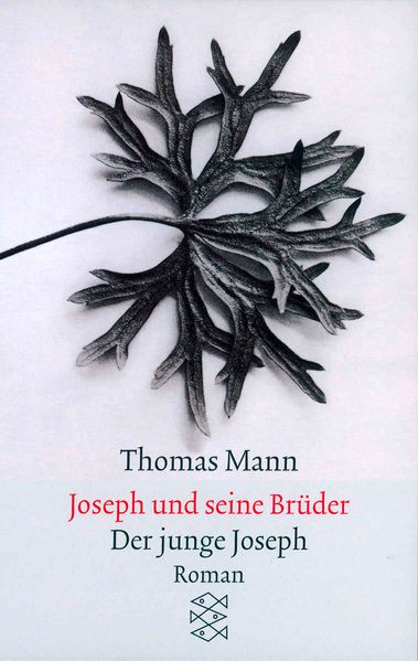Cover von Joseph und seine Brüder II. Der junge Joseph