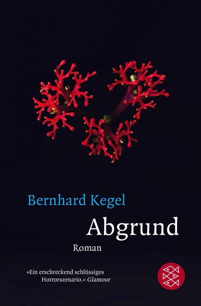 Cover von Abgrund