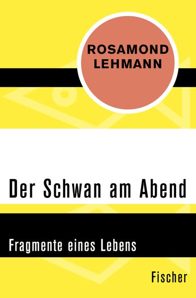 Cover von Der Schwan am Abend
