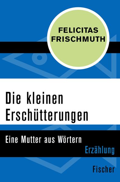 Cover von Die kleinen Erschütterungen