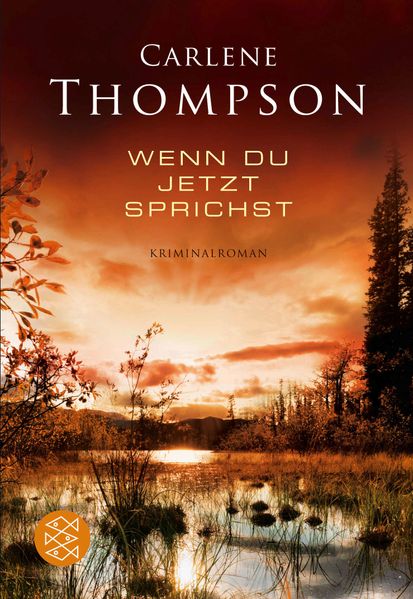 Cover von Wenn du jetzt sprichst