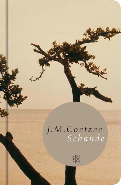Cover von Schande