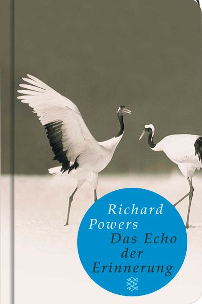 Cover von Das Echo der Erinnerung