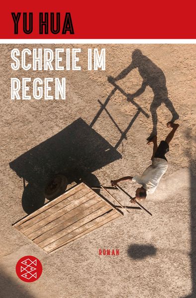 Cover von Schreie im Regen
