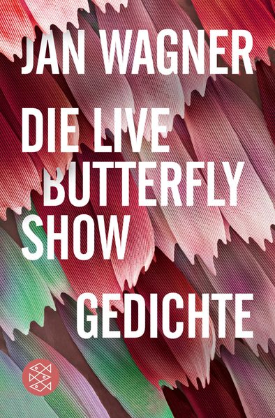 Cover von Die Live Butterfly Show