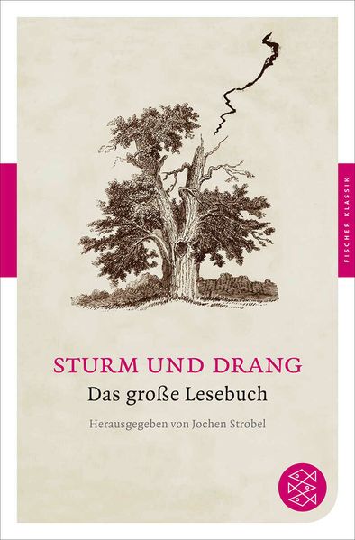 Cover von Sturm und Drang