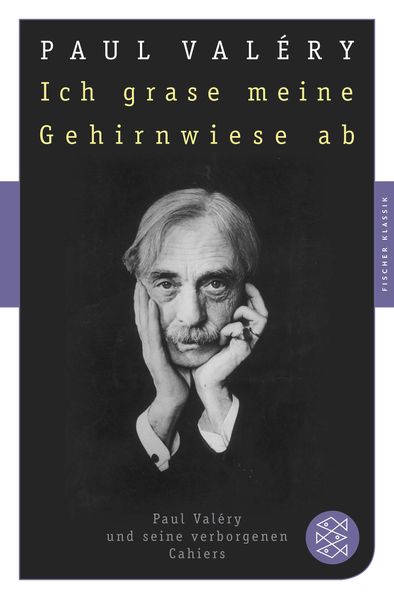 Cover von Ich grase meine Gehirnwiese ab