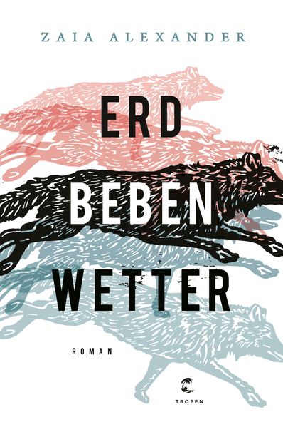 Cover von Erdbebenwetter