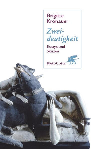 Cover von Zweideutigkeit