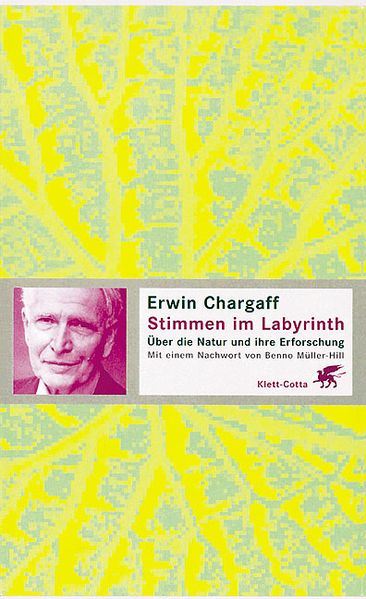 Cover von Stimmen im Labyrinth