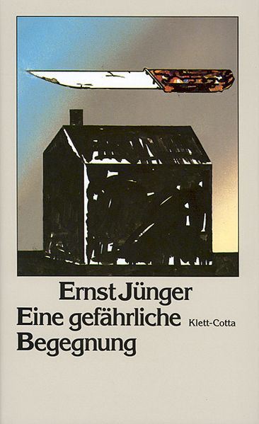 Cover von Eine gefährliche Begegnung