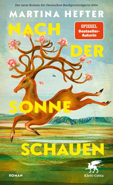 Cover von Nach der Sonne schauen