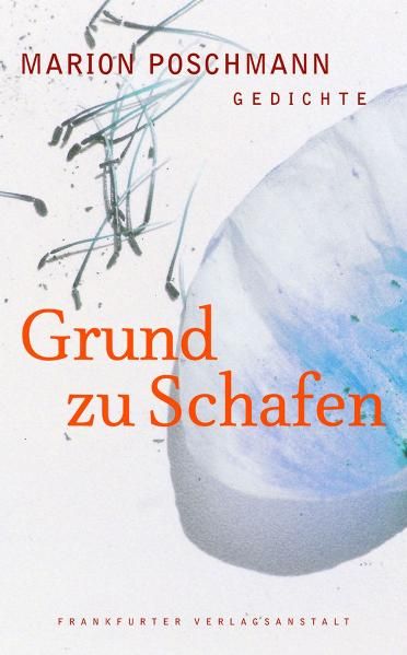 Cover von Grund zu Schafen
