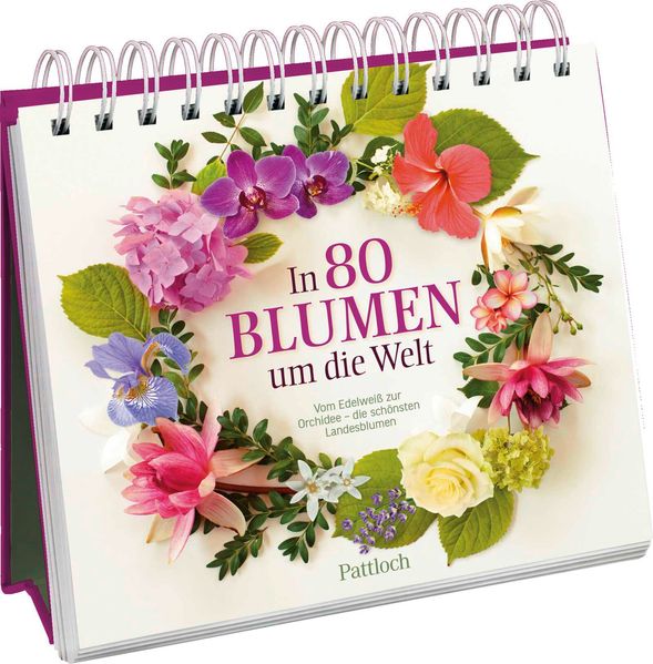 Cover von In 80 Blumen um die Welt