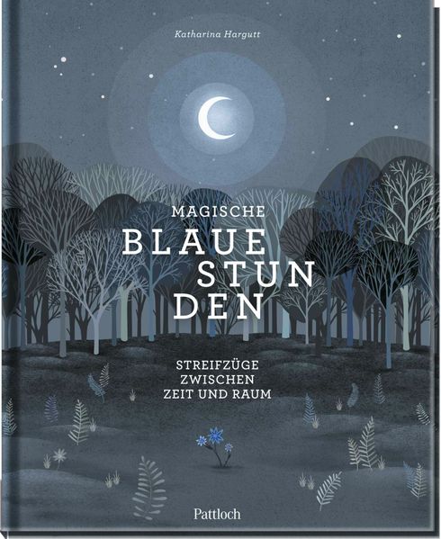 Cover von Magische blaue Stunden