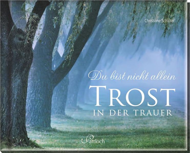 Cover von Du bist nicht allein – Trost in der Trauer