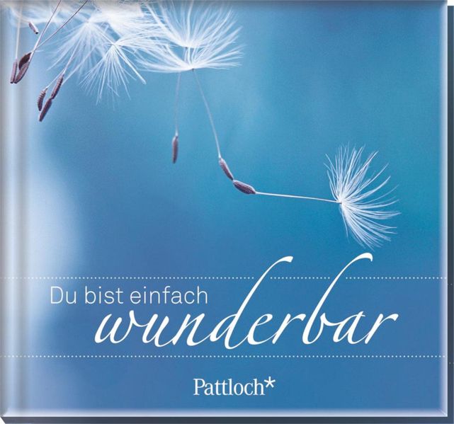 Cover von Du bist einfach wunderbar