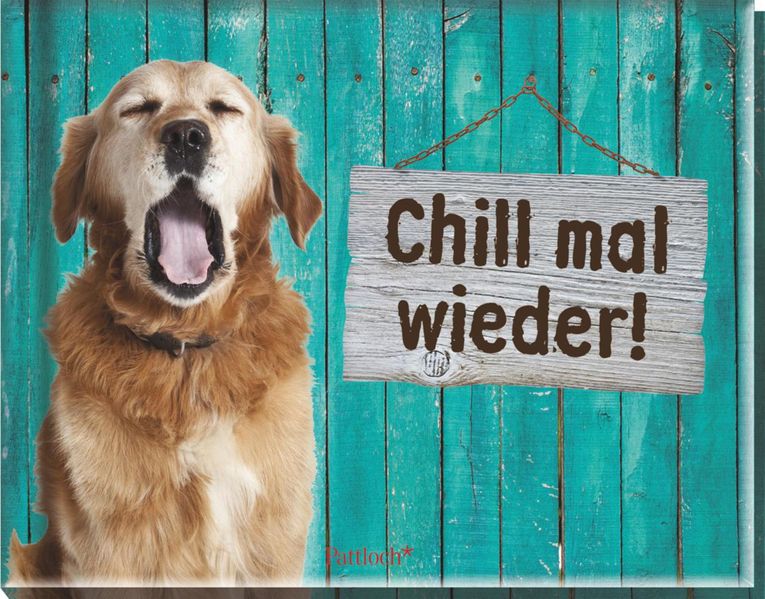Cover von Chill mal wieder!