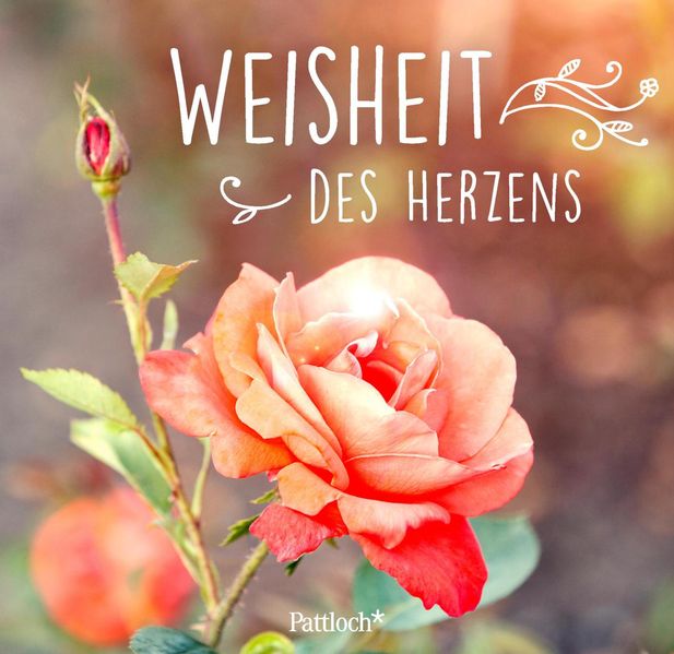 Cover von Weisheit des Herzens