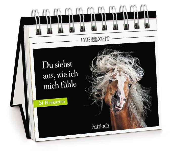 Cover von Du siehst aus, wie ich mich fühle