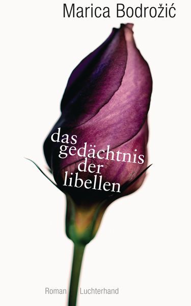Cover von Das Gedächtnis der Libellen