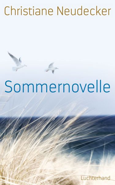 Cover von Sommernovelle