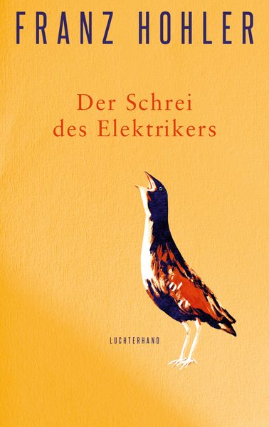 Cover von Der Schrei des Elektrikers