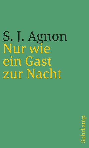 Cover von Nur wie ein Gast zur Nacht