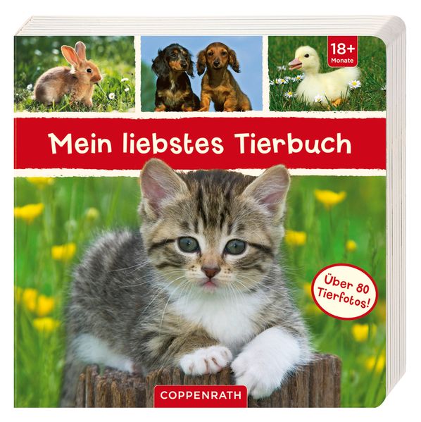 Cover von Mein liebstes Tierbuch
