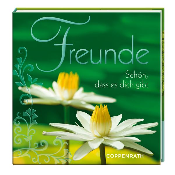 Cover von BelLibri: Freunde