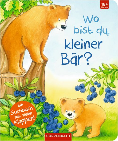 Cover von Wo bist du, kleiner Bär?
