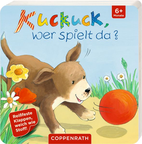 Cover von Kuckuck, wer spielt da?