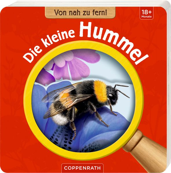 Cover von Von nah zu fern! Die kleine Hummel
