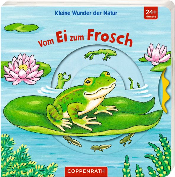 Cover von Kleine Wunder der Natur: Vom Ei zum Frosch