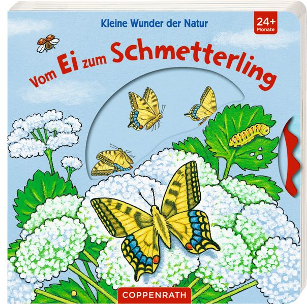 Cover von Kleine Wunder der Natur: Vom Ei zum Schmetterling