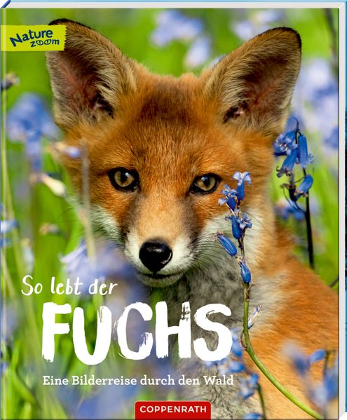 Cover von So lebt der Fuchs