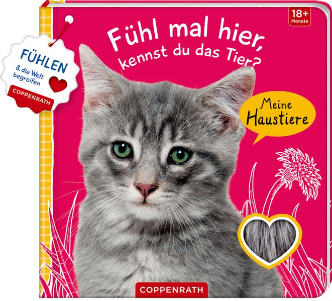 Cover von Fühl mal hier, kennst du das Tier? Meine Haustiere