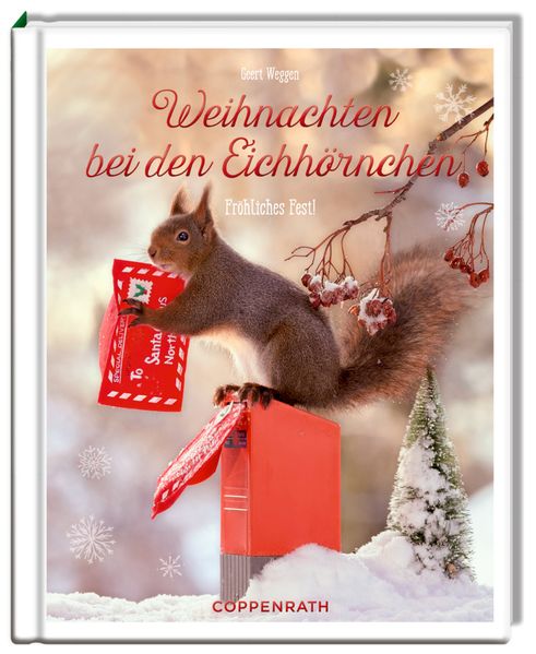 Cover von Weihnachten bei den Eichhörnchen