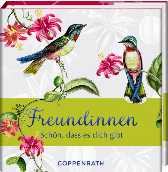 Cover von Freundinnen