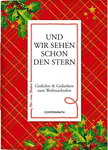 Cover von Und wir sehen schon den Stern