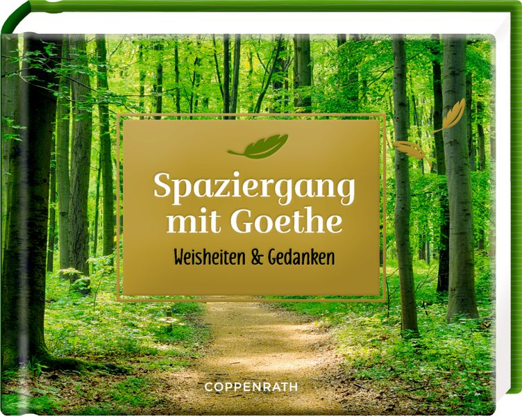Cover von Spaziergang mit Goethe