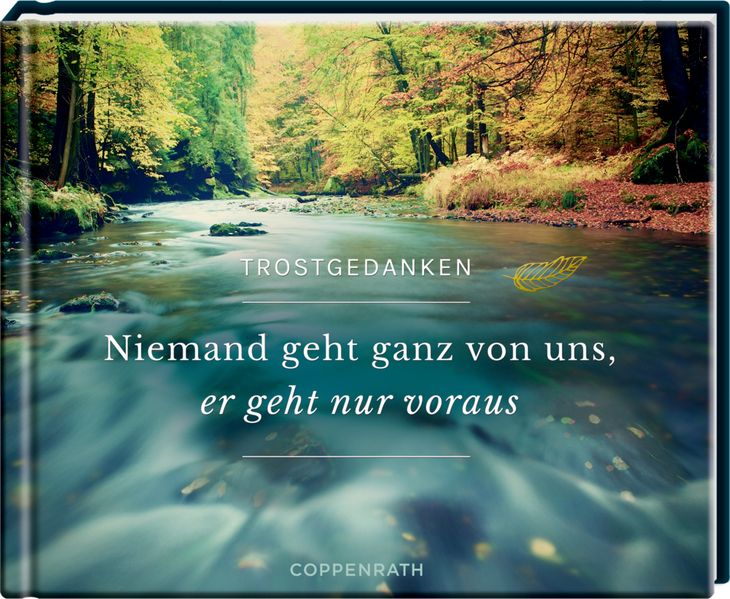 Cover von Niemand geht ganz von uns, er geht nur voraus
