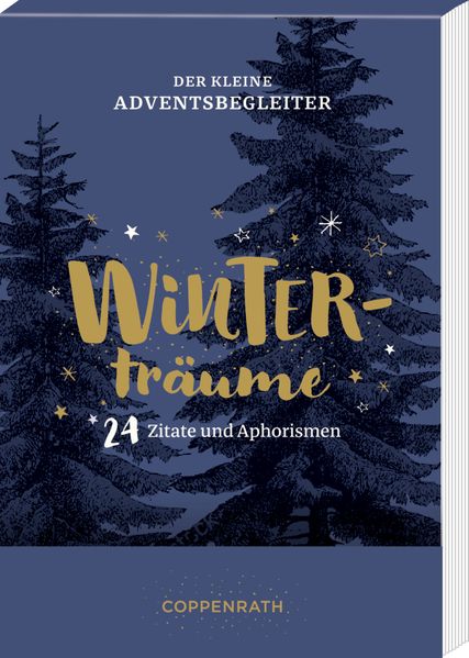 Cover von Der kleine Adventsbegleiter – Winterträume
