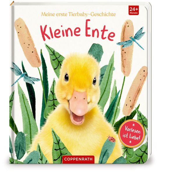 Cover von Meine erste Tierbaby-Geschichte: Kleine Ente