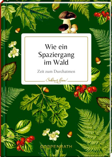 Cover von Wie ein Spaziergang im Wald