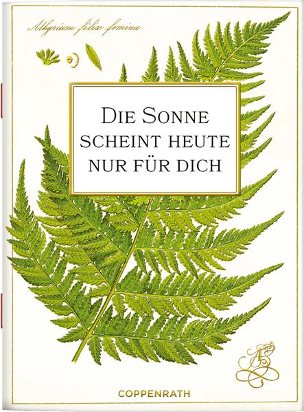 Cover von Die Sonne scheint heute nur für dich